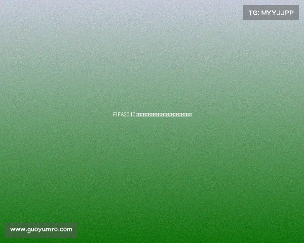 FIFA2010世界杯下载完整版资源高清赛事回顾安装教程合集